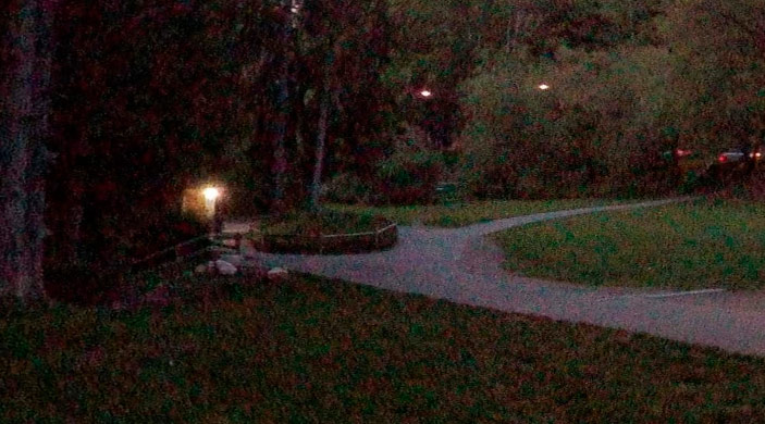 Terrible grainy when shooting at 360-degree spherical panoramas on the Rylo camera in low light, for example in the evening or at dusk