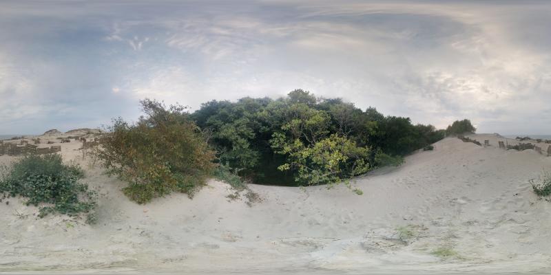 An example of a spherical panorama image file is in equidistant projection. Aspect ratio 2:1.